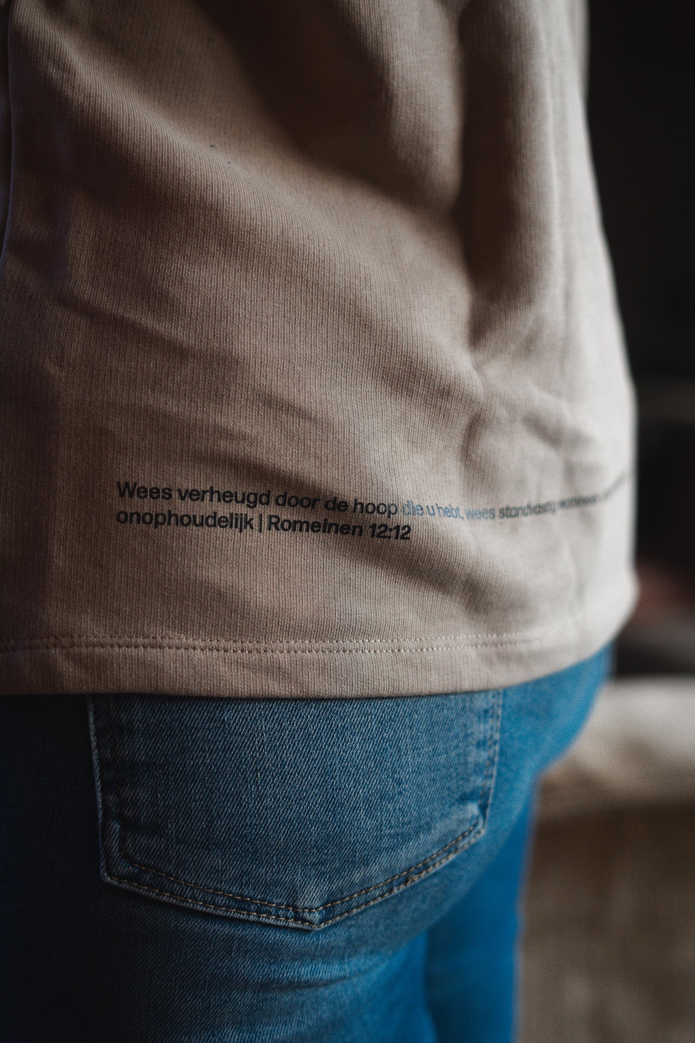 Vruchtdragers Oversized T-shirt Wet sand Sweaterstof